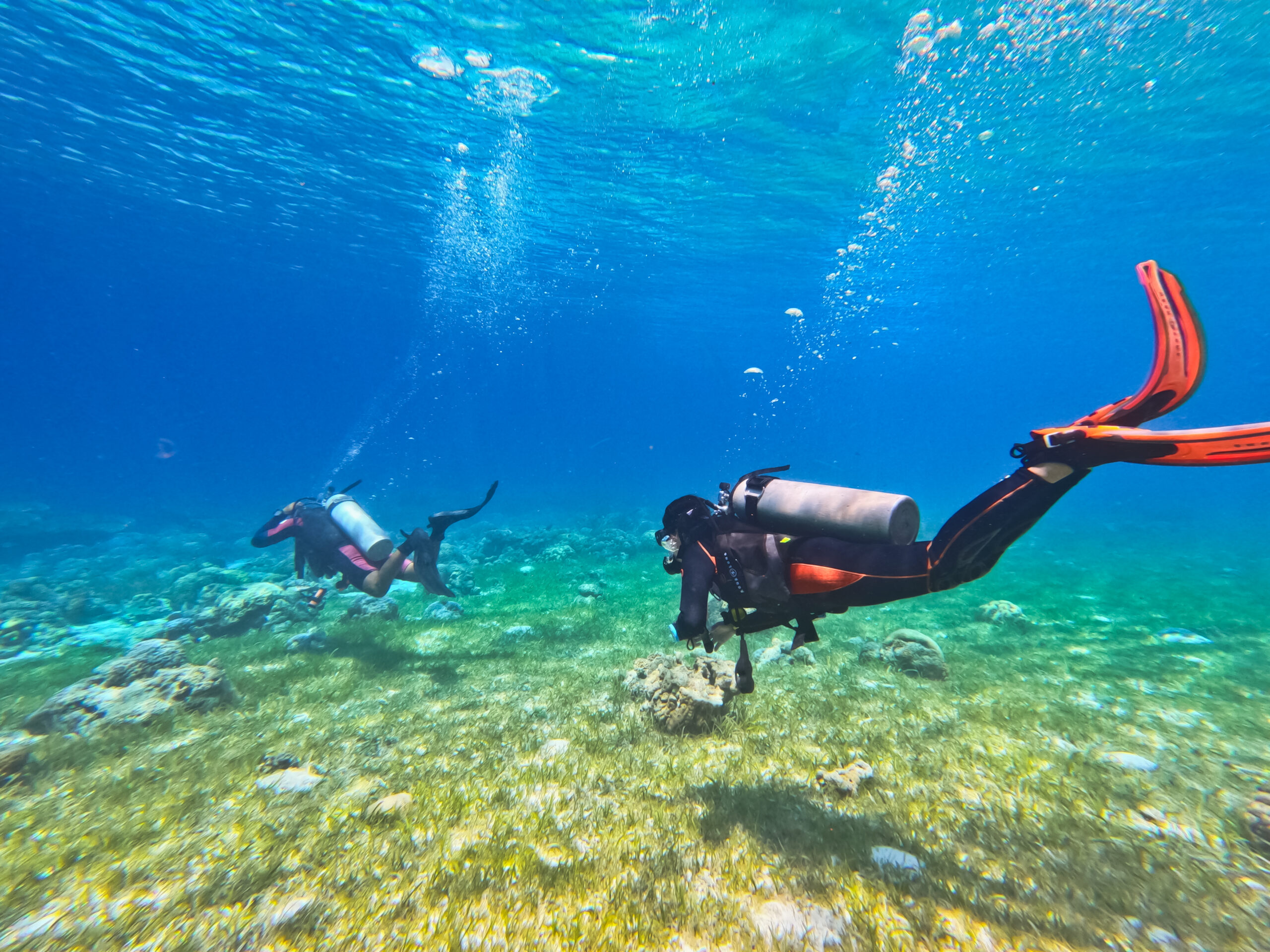 Guía de Buceo para Principiantes en la Isla Mantigue