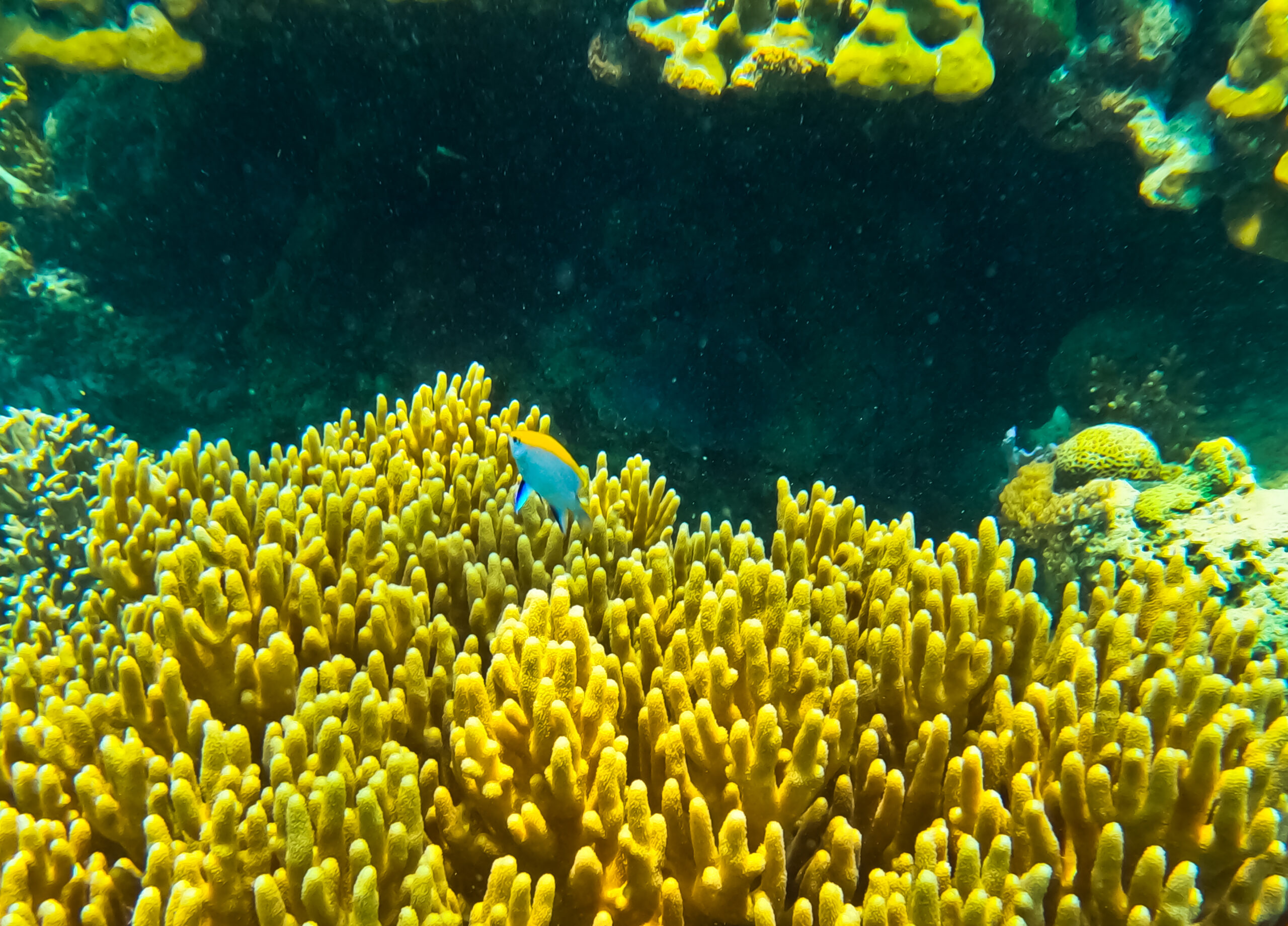 Snorkeling Bliss: Cantaan Beach & Sunken Cemetery’s Hidden Treasures