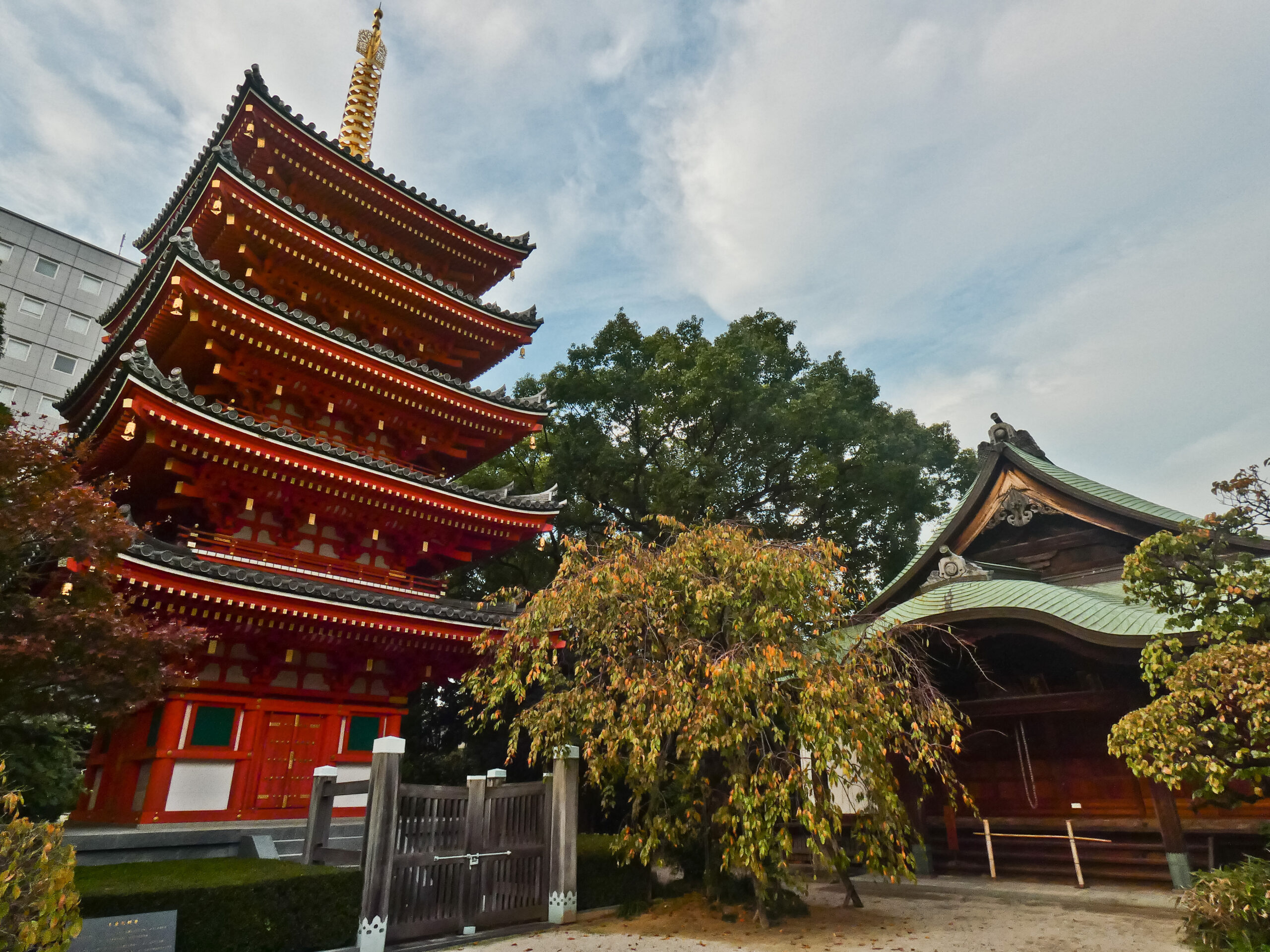 Fukuoka’s Hidden Gems & Day Trip to Dazaifu