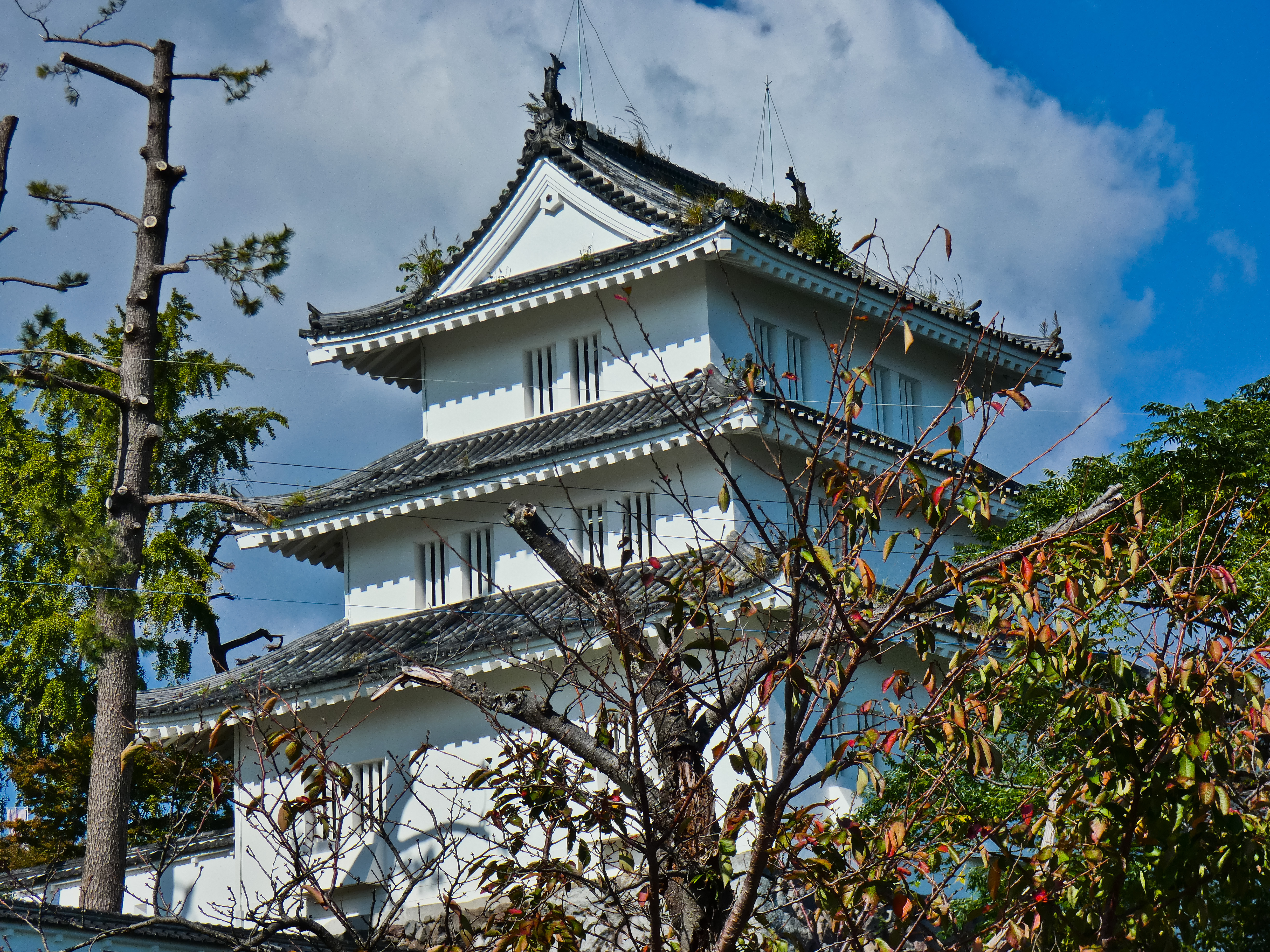 Unveiling Shimabara & Kumamoto: Samurai Houses, Amazing Castles, & Gardens